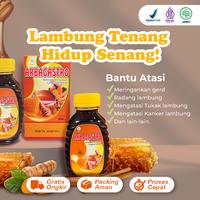 Gambar Madu Herbal Untuk Lambung Maag Gerd Arbagastro dari Herbamart40 undefined 1 Tokopedia