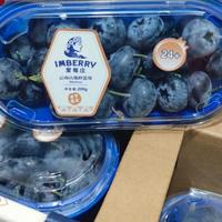 Gambar Buah Blueberry Super Jumbo 200 Grm dari PartnerBuah undefined 1 Tokopedia