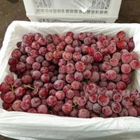 Gambar BUAH ANGGUR RED GLOBE RRC PER KERANJANG (6KG) dari JonsMart10 undefined 3 Tokopedia
