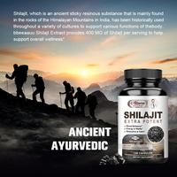 Gambar Alliwise Suplement Shilajit Extra Potent 400mg Anti Kelelahan dari Official Glucoactive undefined 3 Tokopedia