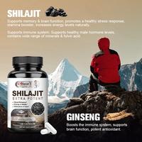 Gambar Alliwise Suplement Shilajit Extra Potent 400mg Anti Kelelahan dari Official Glucoactive undefined 4 Tokopedia