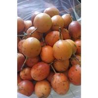 Gambar Buah Markisa Konyal Manis Madu Laris 1 Kg dari VELOTAX undefined 2 Tokopedia