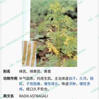 Gambar 50g Black Astragalus Membranaceus Hei Huang Qi Astragali Mongholici Radix Premium dari Mahajaya Kandze Store - MK undefined 3 Tokopedia