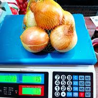 Gambar Bombay karungan 1saz+-10kg dari AA EMPON undefined 3 Tokopedia