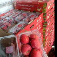 Gambar Apel Stroberi I Apple Strowberry 1 Pack dari RAJA ALPUKAT undefined 2 Tokopedia
