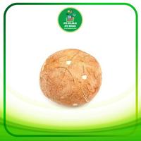 Gambar Kelapa TUA Utuh per butir dari Ayo Belanja Ayo Masak undefined 1 Tokopedia