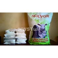 Gambar Susu SOLVOR (500gr) formula hewan/susu pengganti induk/susu cempe sapi kelinci kucing dll/susu SOLVOR Milk Replacer Best dari TAVIMO undefined 3 Tokopedia