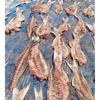 Gambar Tepung Tulang Daging Ikan Dasar LAUT untuk PAKAN TERNAK bau Harum protein tinggi dari PT. Koloni Walet Indonesia undefined 2 Tokopedia