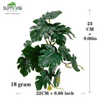 Gambar Tanaman artificial / Tanaman Sintetis Turtle Bamboo (Tanpa Pot) dari Toko Rumput Sumara undefined 4 Tokopedia