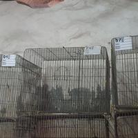 Gambar kandang second 60×40 dari all brothers undefined 3 Tokopedia