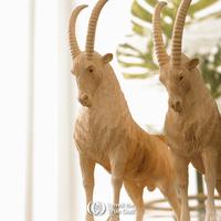 Gambar Patung Ukir Mountain Goat - Cendana Kupang NTT dari Cauzar Oud undefined 5 Tokopedia