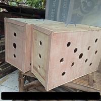 Gambar BOX PENGIRIMAN AYAM JUMBO | BOK AYAM BANGKOK L28 T40 P60 dari Kerajinan Kandang undefined 2 Tokopedia