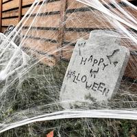 Gambar Jaring Sarang Laba-laba Besar Dekorasi Spider Web Halloween Decoration dari Multishopppp undefined 2 Tokopedia