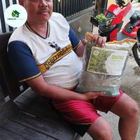 Gambar Kompos bahan Eceng Gondok dari Emillia Garden undefined 3 Tokopedia