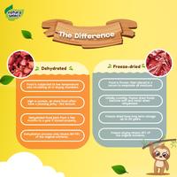 Gambar Natura Select -Freeze Dried Yoghurt Stix Cheese dari Hydrofarm Tangerang undefined 4 Tokopedia