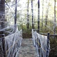 Gambar Jaring Sarang Laba-laba Besar Dekorasi Spider Web Halloween Decoration dari Multishopppp undefined 5 Tokopedia