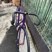 Gambar New fullbike sepeda fixie classic 700c size 50 doltrap / torpedo violet - Doltrap dari whynot cycling undefined 4 Tokopedia