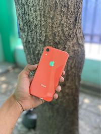 Gambar Apple Iphone XR 128 GB Coral Second Fullset Like New dari Berkahmuj undefined 3 Tokopedia