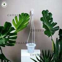Gambar pot bunga anggrek 14cm +gantungan Plastik Putih dari CRYSTALLPOT undefined 1 Tokopedia