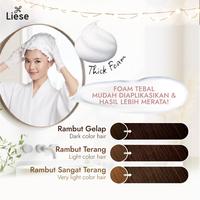 Gambar Liese Bubble Hair Color Foam Milky Beige + Free Jergens - Cat Rambut Permanent dari KAO Indonesia undefined 5 Tokopedia