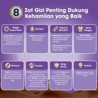 Gambar Anmum Materna Susu Bubuk Cokelat 3X400G - Susu Ibu Hamil dari Gerai Utopia undefined 3 Tokopedia