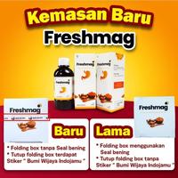 Gambar Obat - Obatan Madu Freshmag Paket 3 Botol Asam Lambung Atasi Magh dan Gerd dari Cicimr undefined 2 Tokopedia