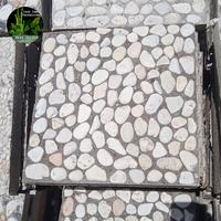 Gambar Stepping Stone Taman Kotak dan Bulat dari Anza Garden undefined 3 Tokopedia