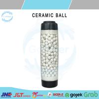 Gambar CARTRIDGE FILTER 10 INCH - PASIR SILICA SILIKA - BIO KERAMIK CERAMIC BALL - PASIR AKTIF - KARBON AKTIF SUPER - MANGANESE GREENSAND / FILTER AIR REFILL 10” - PASIR SILICA dari Gofilter undefined 3 Tokopedia
