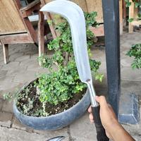 Gambar CALOK CAKKONG BAMBU PADI KELAPA dari JURAGAN ARIT undefined 3 Tokopedia
