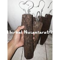 Gambar Batang pohon pakis tinggi 20cm+kawat centolan untuk media tanam anggrek dari Herbal_nusantara69 undefined 1 Tokopedia