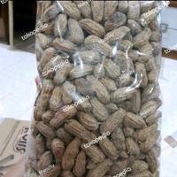 Gambar TARSIUS Kacang Sangrai BELIMBING Kecil Asli Khas Kawangkoanan Manado dari ManCity Khas Manado undefined 2 Tokopedia