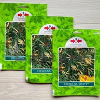 Gambar Pilihan Terbaik! Panah Merah - Benih Bibit Cabai Cabe Rawit Setan Dewata 76 F1 Cap Panah Merah - 100 BIJI dari ARGO PLAN BAG undefined 2 Tokopedia