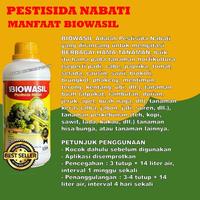 Gambar PUPUK SEMPROT BIOWASIL ATASI KUTU PUTIH DAUN ALPUKAT Pada Daun Batang dan Buah Membasmi Ulat Bunga Alpukat Mengusir Hama Aplukat Paling Laris dari supplement farm undefined 2 Tokopedia