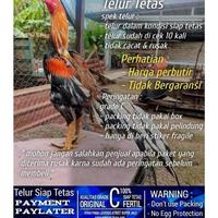Gambar Terlaris | Terbesar | Terlengkap Ayam Bangkok Ekor Lidi Hias Super Wirkun Telur Siap Tetas Grade C No Seri 0019 Asli | Real Stock dari torpedoXL undefined 1 Tokopedia