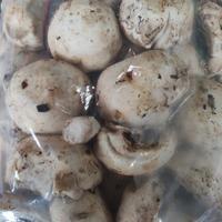 Gambar JAMUR FRESH CHAMPIGNON/ JAMUR KANCING FRESH 250gr dari TOKO BEN 23 undefined 1 Tokopedia
