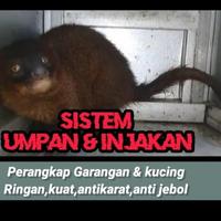 Gambar terbaru Promo perangkap atau jebakan musang,garangan,biawak,tikus tanpa sekat dari Harapan Tani id undefined 4 Tokopedia