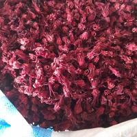 Gambar Bunga Rosella Merah 100 gram dari Miftahdin undefined 1 Tokopedia
