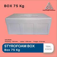 Gambar STYROFOAM BOX 75 KG BOX ES BESAR BOX GABUS BOX STYROFOAM BOX-75 75x42x31 CM INSTANT KURIR dari Karya Pangan Nusantara undefined 3 Tokopedia