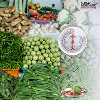 Gambar Laris Timbangan Gantung Timbangan Jarum Manual Timbangan Ayam Buah Sayur Daging 25Kg 50Kg 100Kg 150Kg Panda Scale - 25kg dari Gerai Olivia Collins undefined 4 Tokopedia