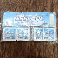 Gambar jesscool penyegar panas dalam (20 tablet effervecent) dari zulfipedia undefined 1 Tokopedia