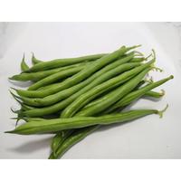 Gambar ORIGINAL benih buncis kenya baby buncis / baby bean seeds - 750 gram dari CV CONFLATE undefined 2 Tokopedia