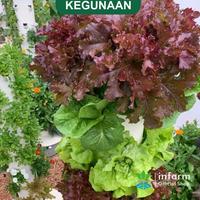 Gambar INFARM - Paket Tower Instalasi Hidroponik 18 Lubang DFT Cepat Panen - Tower dari YaniicellStore undefined 5 Tokopedia