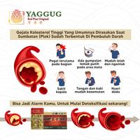 Gambar Red Pine Oil Korea Kumgangsong Premium 90 Kapsul - 90 Capsul dari Red Pine Oil Original Quality undefined 5 Tokopedia