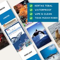 Gambar Flash Card - UNDERWATER - Media Belajar Edukatif Bayi & Anak - Wipe & Clean - Free Ring - Bonus Kartu Ide Bermain - Kartu Bergambar Visual dari Blung Playtime undefined 5 Tokopedia