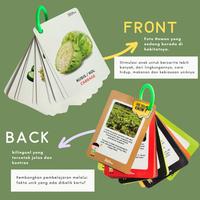 Gambar Flash Card - FRUIT & VEGETABLES - Media Belajar Edukatif Bayi & Anak - Wipe & Clean - Free Ring - Bonus Kartu Ide Bermain - Kartu Bergambar Visual dari Blung Playtime undefined 4 Tokopedia
