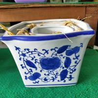 Gambar Terlaris Pot Keramik Biru Putih Segi Empat / Pot Kotak Keramik Biru Putih dari GEMATIE undefined 2 Tokopedia