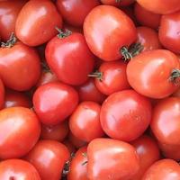Gambar Sayur Segar Ketimun Timun Mentimun / Tomat / Wortel / Jagung Manis 1kg - Timun dari bebehshop_NEW undefined 3 Tokopedia