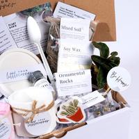 Gambar Planting & Scented Candle Kit Premium Ekslusif Hampers Souvenir Kado Hadiah Sukulen Kaktus Pot Mini Lilin Aromaterapi Scented Candle Dekorasi Rumah Natal Christmas Dan Tahun Baru New Year 2023 Unik Estetik Untuk Anak Anak Cewek Cowok Packaging Terbaru! - lavender, Merah dari Ridal Store 00 undefined 4 Tokopedia