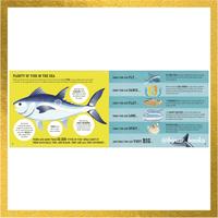 Gambar DK The Sea Book by Charlotte Milner dari Binar Books undefined 3 Tokopedia