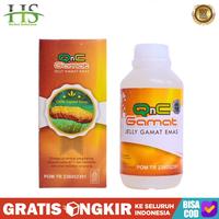 Gambar Obat Herbal Amandel - Radang Tenggorokan - QnC Jelly Gamat - Original - JELLY GAMAT dari Herbal Solutions undefined 1 Tokopedia
